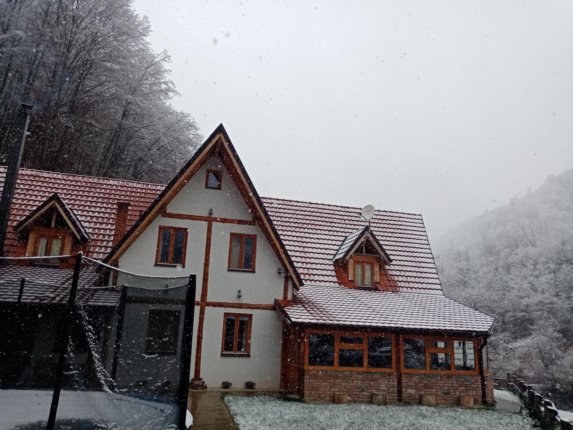 Staroplaninski Apartments Crni Vrh Экстерьер фото
